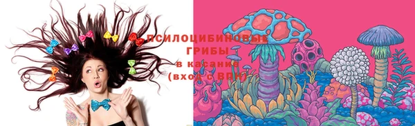 амф Сафоново