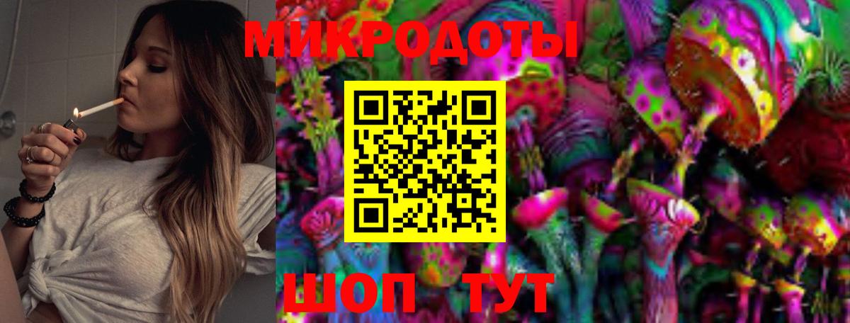 Псилоцибиновые грибы Psilocybine cubensis Сорочинск