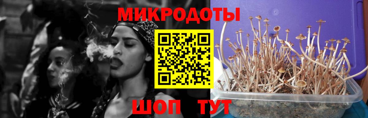 Галлюциногенные грибы GOLDEN TEACHER  Галлюциногенные грибы прущие грибы  Сорочинск  Вход с VPN 